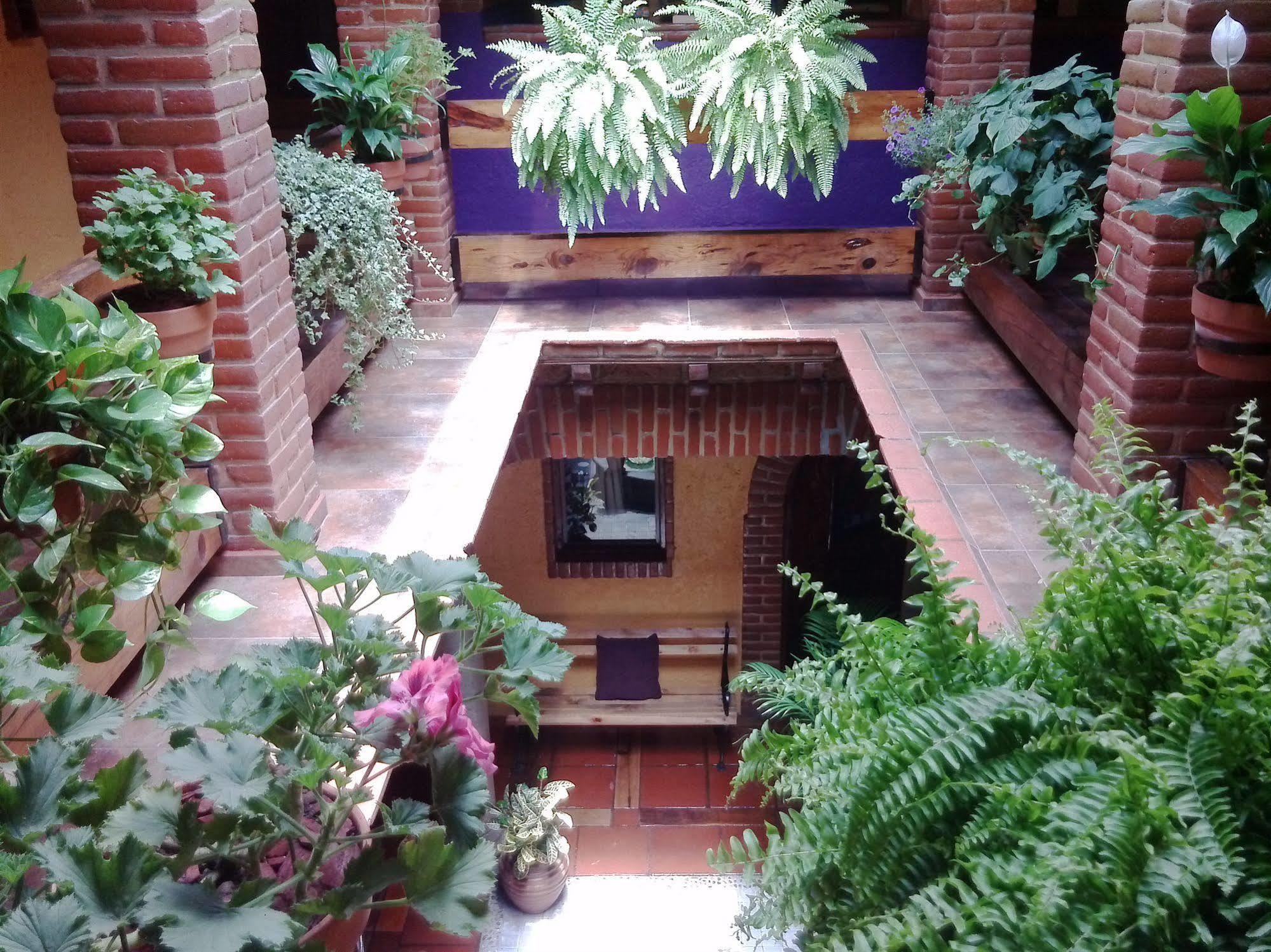 Mex Suites Casa Azul B&B Mexico City Luaran gambar